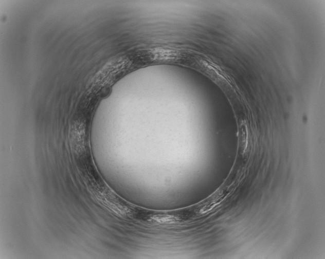 X0000059080557200510211544