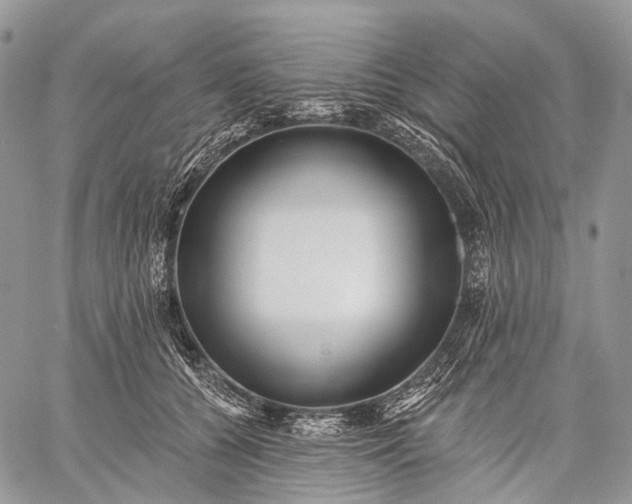 X0000059080560200510211545