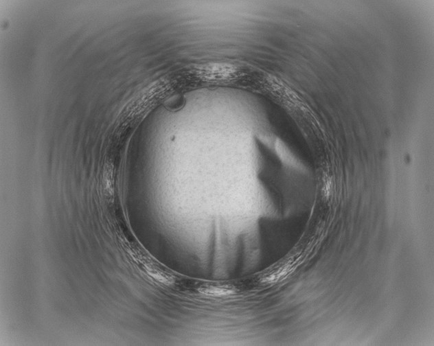 X0000059080561200510211545