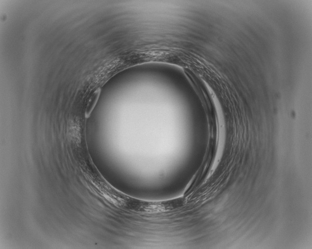 X0000059080562200510211545