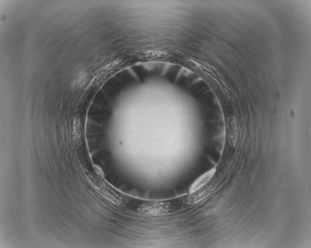 X0000059080563200510211545