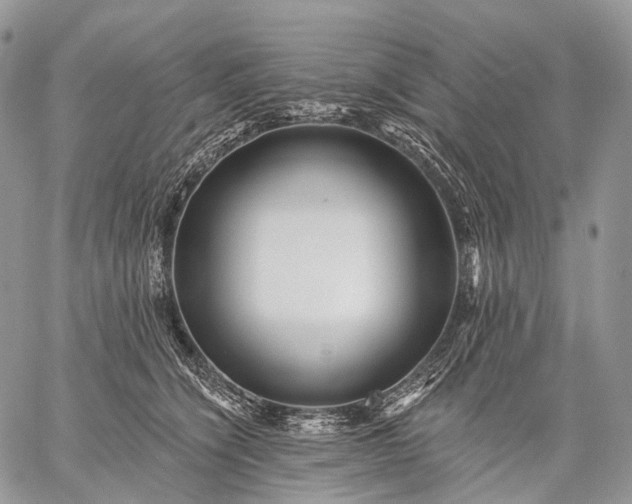 X0000059080564200510211545