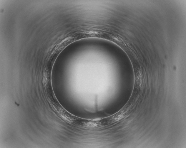 X0000059080566200510211545