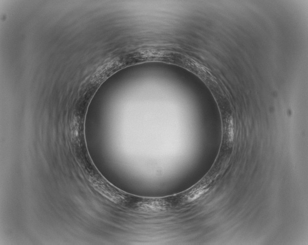 X0000059080567200510211545