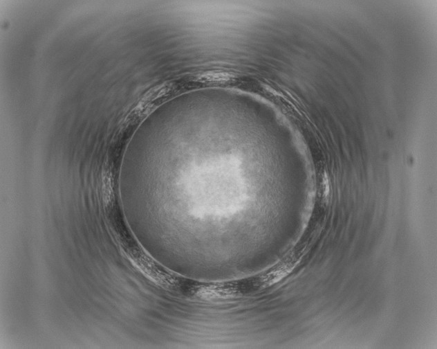 X0000059080568200510211545