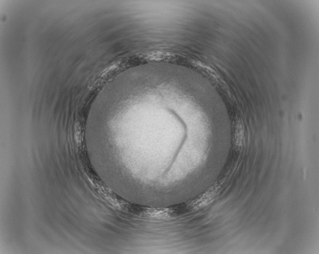 X0000059080569200510211545