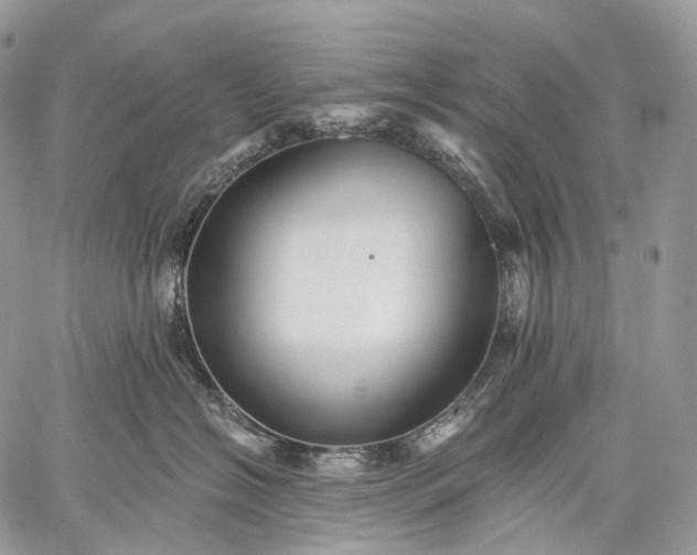 X0000059080574200510211545