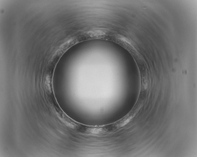 X0000059080575200510211545