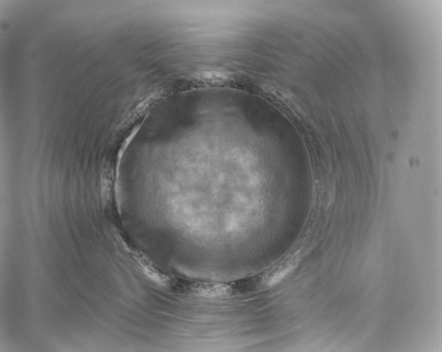 X0000059080576200510211545