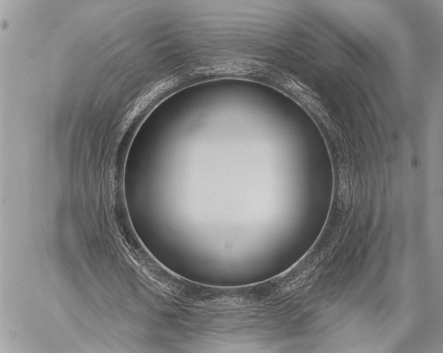 X0000059080578200510211544