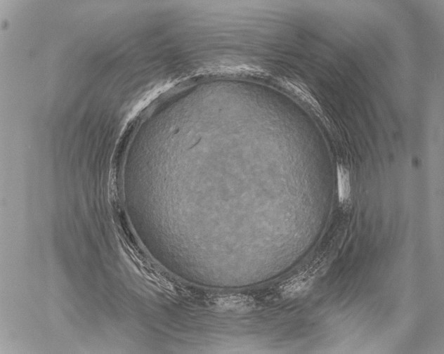 X0000059080579200510211544