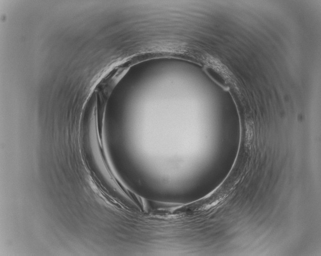 X0000059080580200510211544