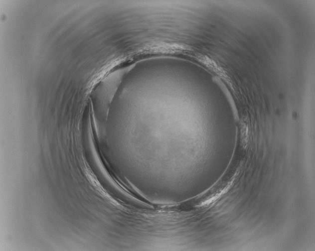 X0000059080581200510211544