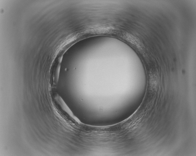 X0000059080582200510211544