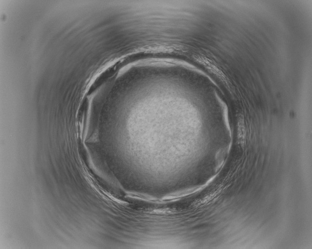 X0000059080584200510211544