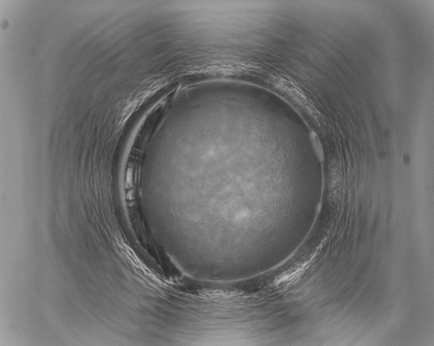 X0000059080585200510211544