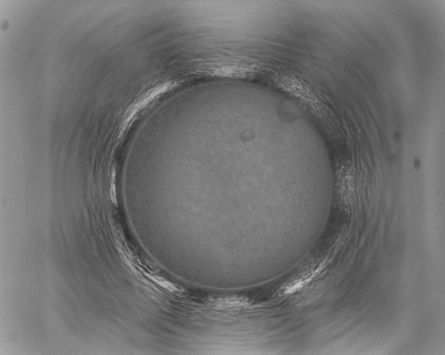 X0000059080587200510211544