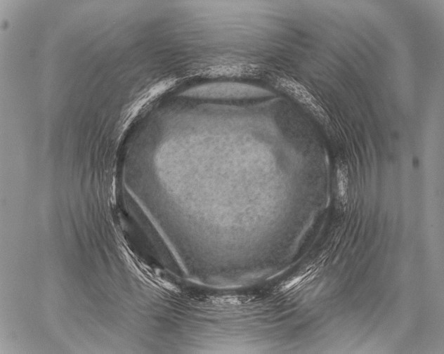 X0000059080588200510211544