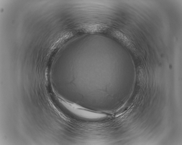 X0000059080590200510211544