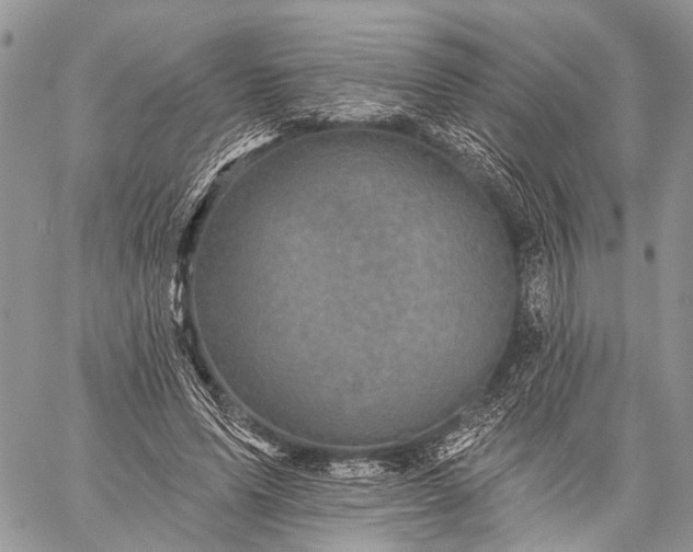 X0000059080591200510211544