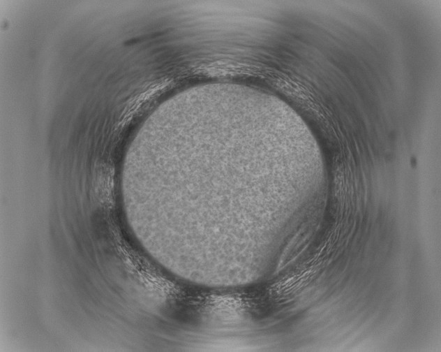 X0000059080592200510211544