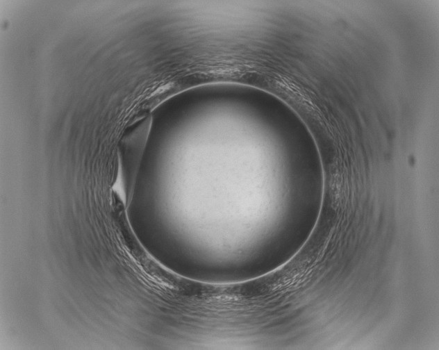 X0000059080593200510211544