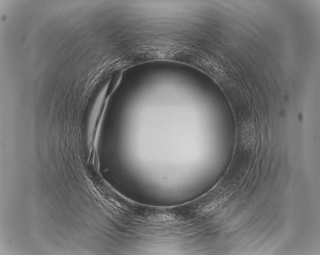 X0000059080594200510211544