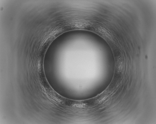 X0000059080595200510211544