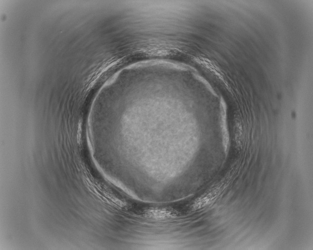 X0000059080596200510211544