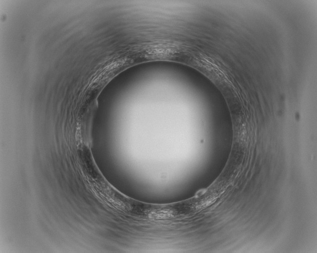 X0000059080599200510211544