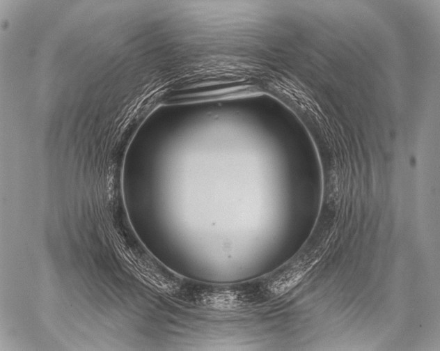 X0000059080600200510211544