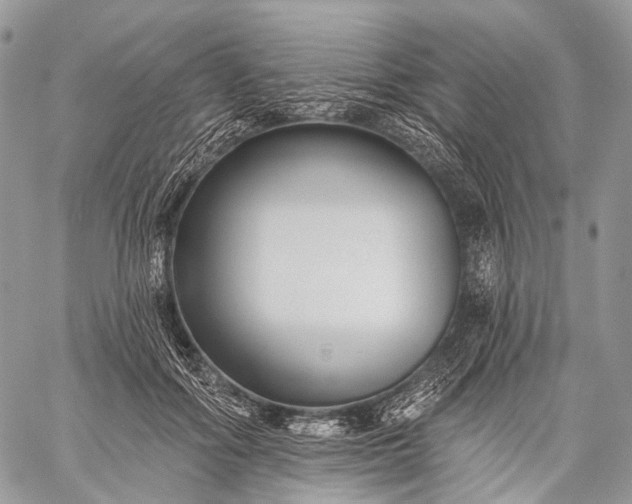 X0000059080602200510211544