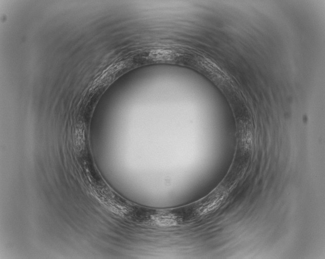 X0000059080603200510211544