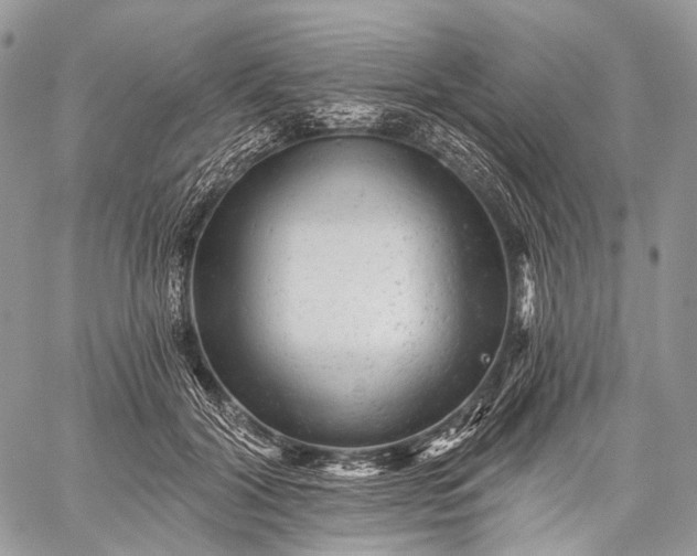 X0000059080604200510211544