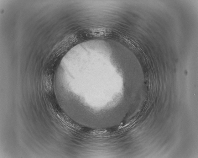 X0000059080606200510211544