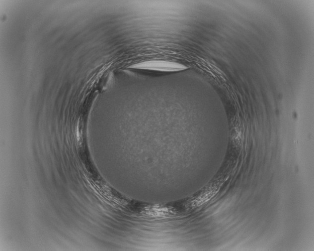 X0000059080607200510211543