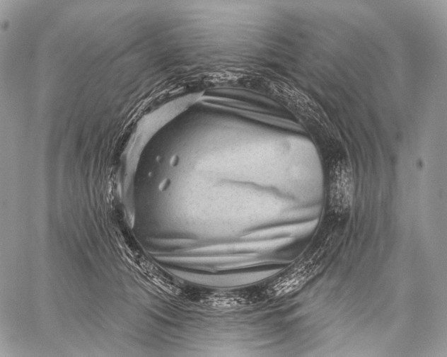 X0000059080608200510211543