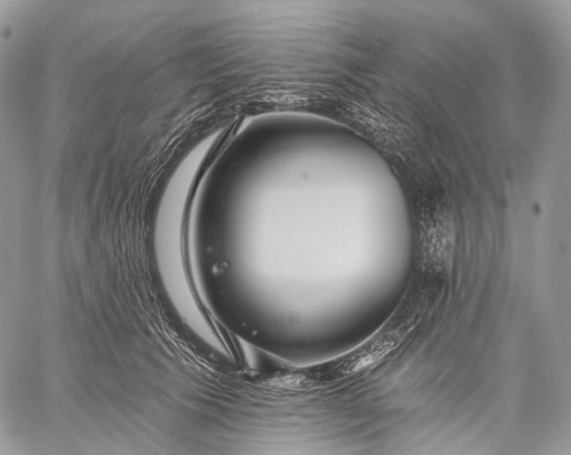 X0000059080609200510211543