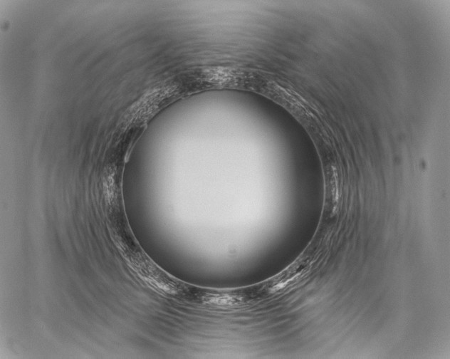 X0000059080611200510211543