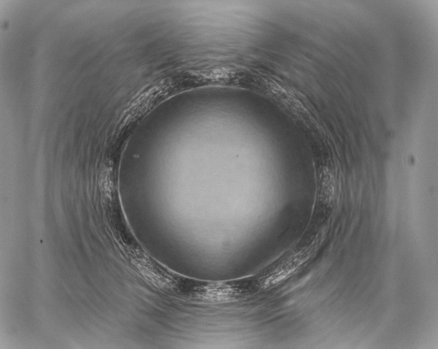 X0000059080612200510211543