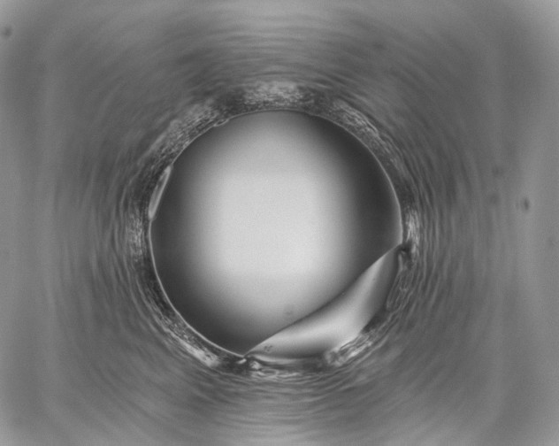 X0000059080617200510211543