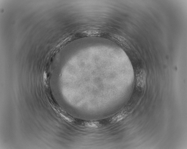 X0000059080618200510211543