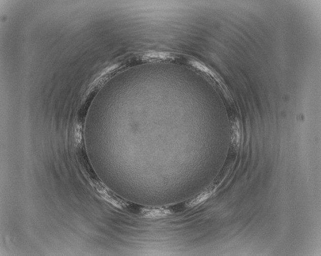 X0000059080621200510211543