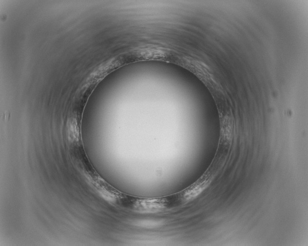 X0000059080622200510211543