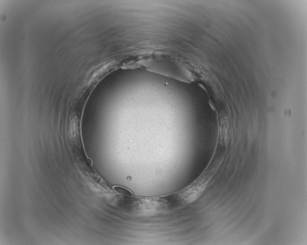 X0000059080623200510211543