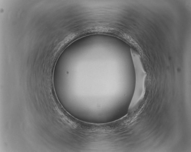 X0000059080625200510211542