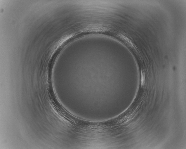 X0000059080627200510211542