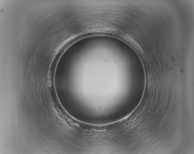 X0000059080628200510211542