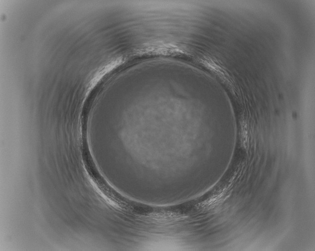 X0000059080630200510211543