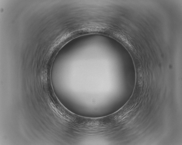 X0000059080631200510211543